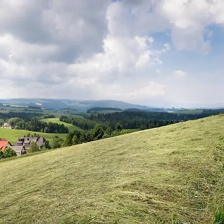 Sonne Neuhäusle 3* Sankt Märgen